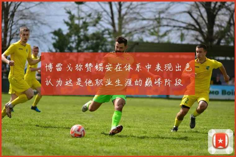 博雷戈称赞锡安在体系中表现出色认为这是他职业生涯的巅峰阶段